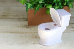 【2026年版】台東区でTOTO温水洗浄便座TCF6624を高く売る！新品買取店おすすめ3選