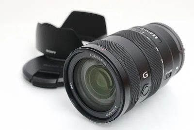ソニー E 16-55mm F2.8 G SEL1655G 標準ズームレンズ 