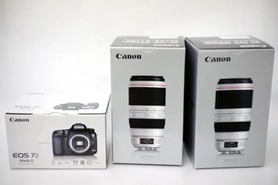 キヤノン EF100-400mm F4.5-5.6L IS II USM レンズ