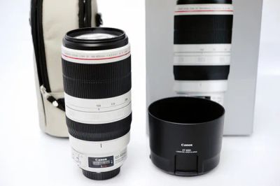 キヤノン EF100-400mm F4.5-5.6L IS II USM レンズ