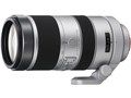 70-400mm F4-5.6 G SSM SAL70400G