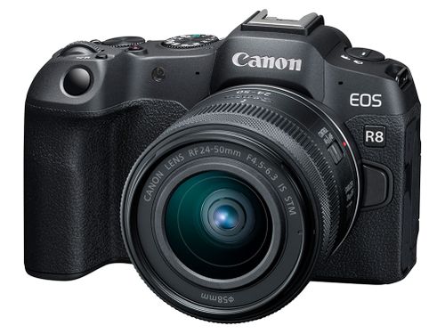 EOS R8 RF24-50 IS STM レンズキット