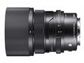 65mm F2 DG DN