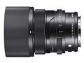 65mm F2 DG DN