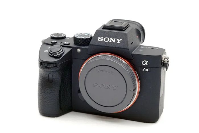 ソニー α7 III ILCE-7M3 ボディ ミラーレス一眼 