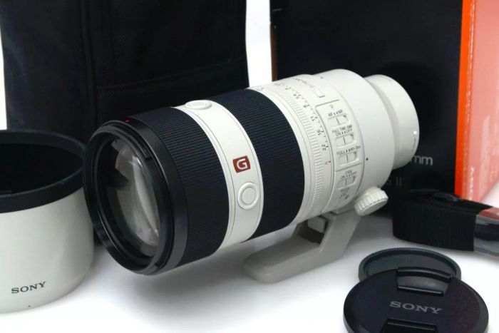 ソニー FE 70-200mm F2.8 GM OSS II