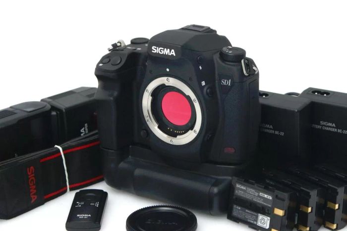 シグマ SD1 Merrill ボディ