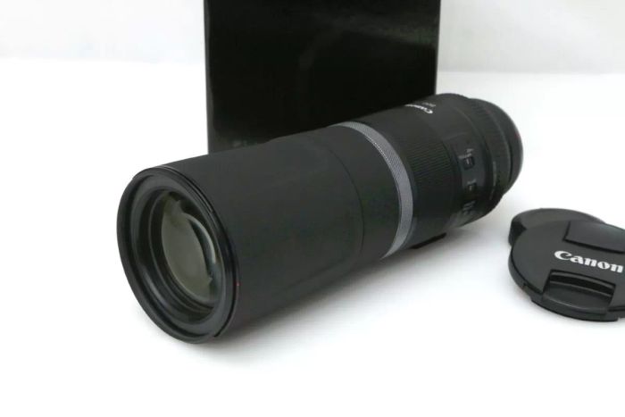 キヤノン RF800mm F11 IS STM
