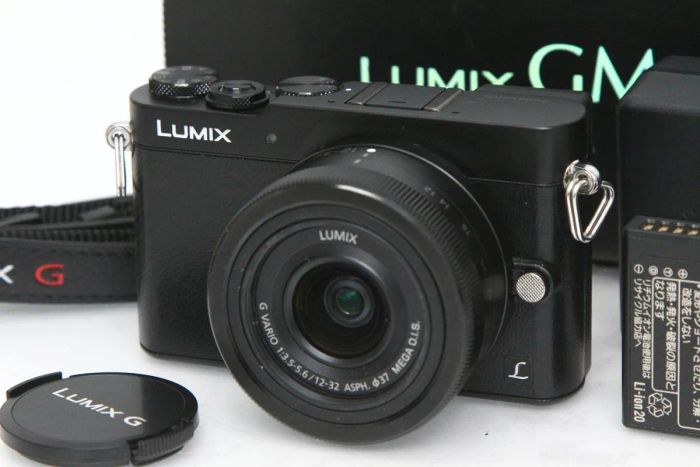 パナソニック LUMIX DMC-GM5K レンズキット［ブラック］
