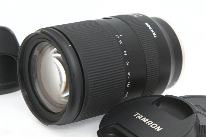 タムロン 28-200mm F/2.8-5.6 Di III RXD (Model A071)