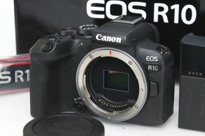 キヤノン EOS R10 ボディ