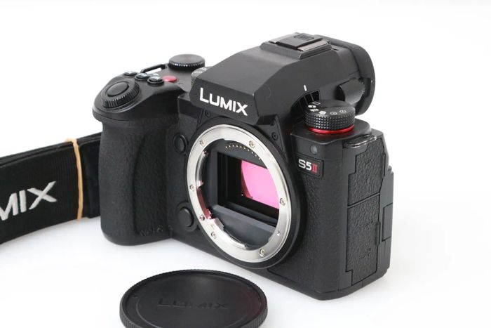 パナソニック LUMIX DC-S5M2 ボディ