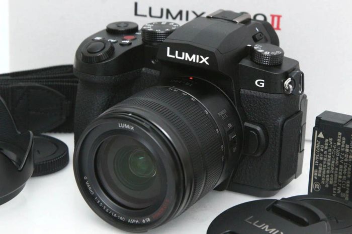 パナソニック LUMIX DC-G99M2H 高倍率ズームレンズキット [ブラック] 