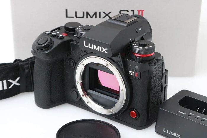 パナソニック LUMIX DC-S1M2 ボディ