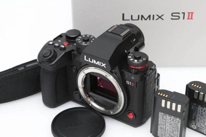 パナソニック LUMIX DC-S1M2 ボディ 