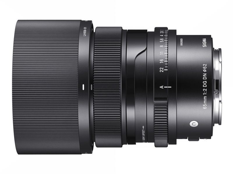 65mm F2 DG DN