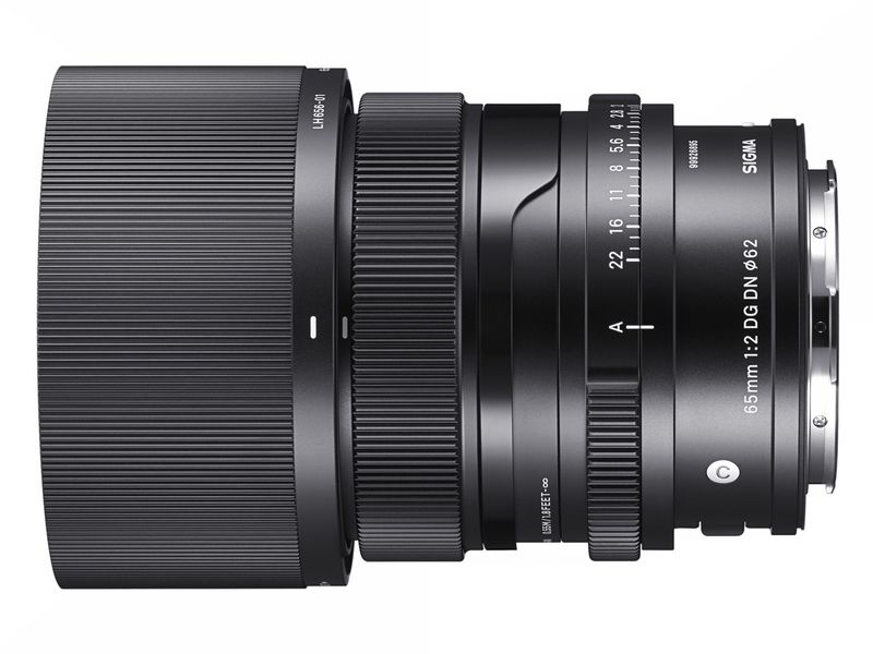 65mm F2 DG DN